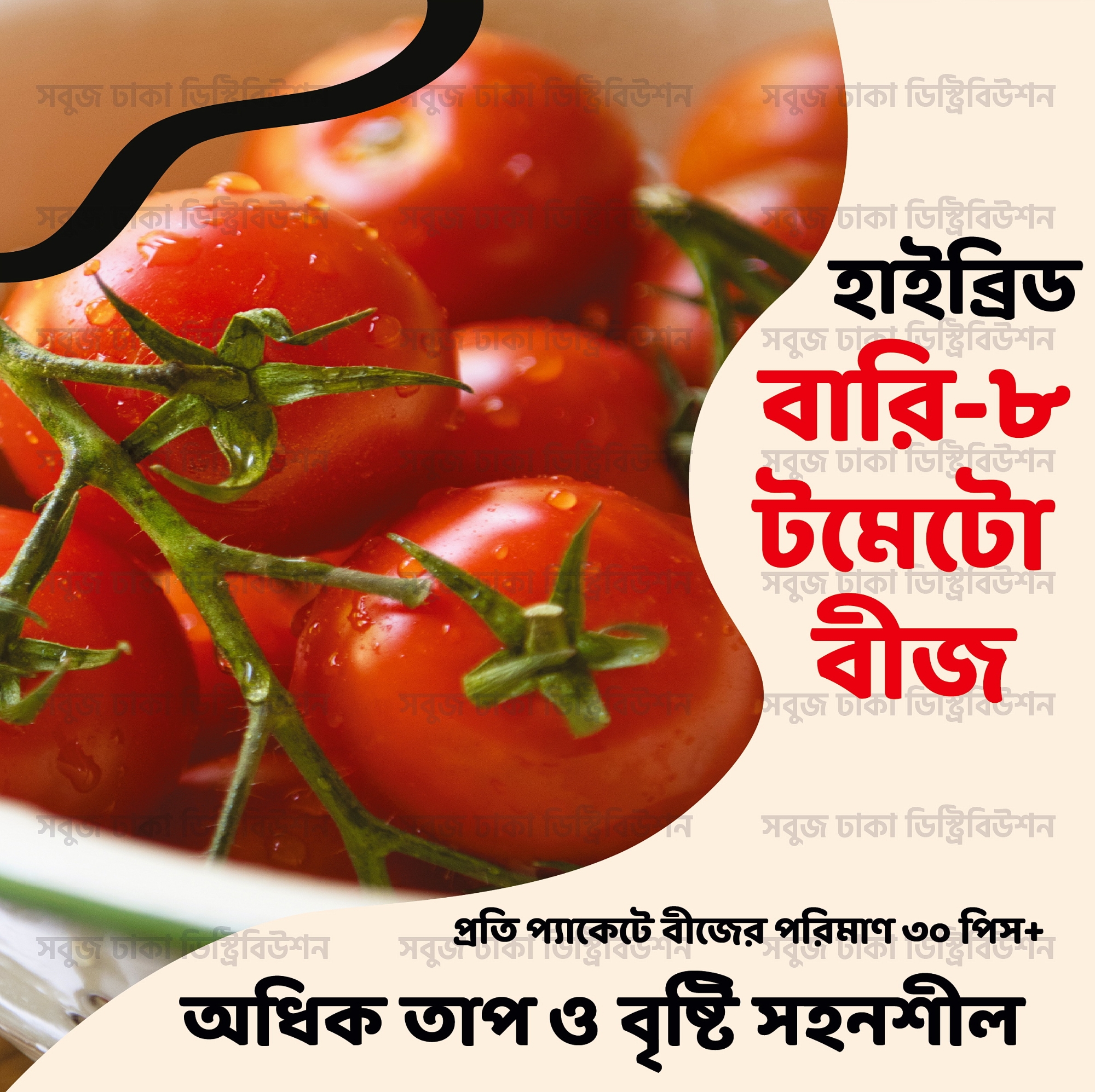 Picture of Hybrid BARI-8 Tomato Seeds Re-Pack 0.1gm Pack