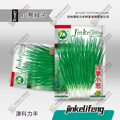 Picture of Spring Onion Seeds 0.1gm