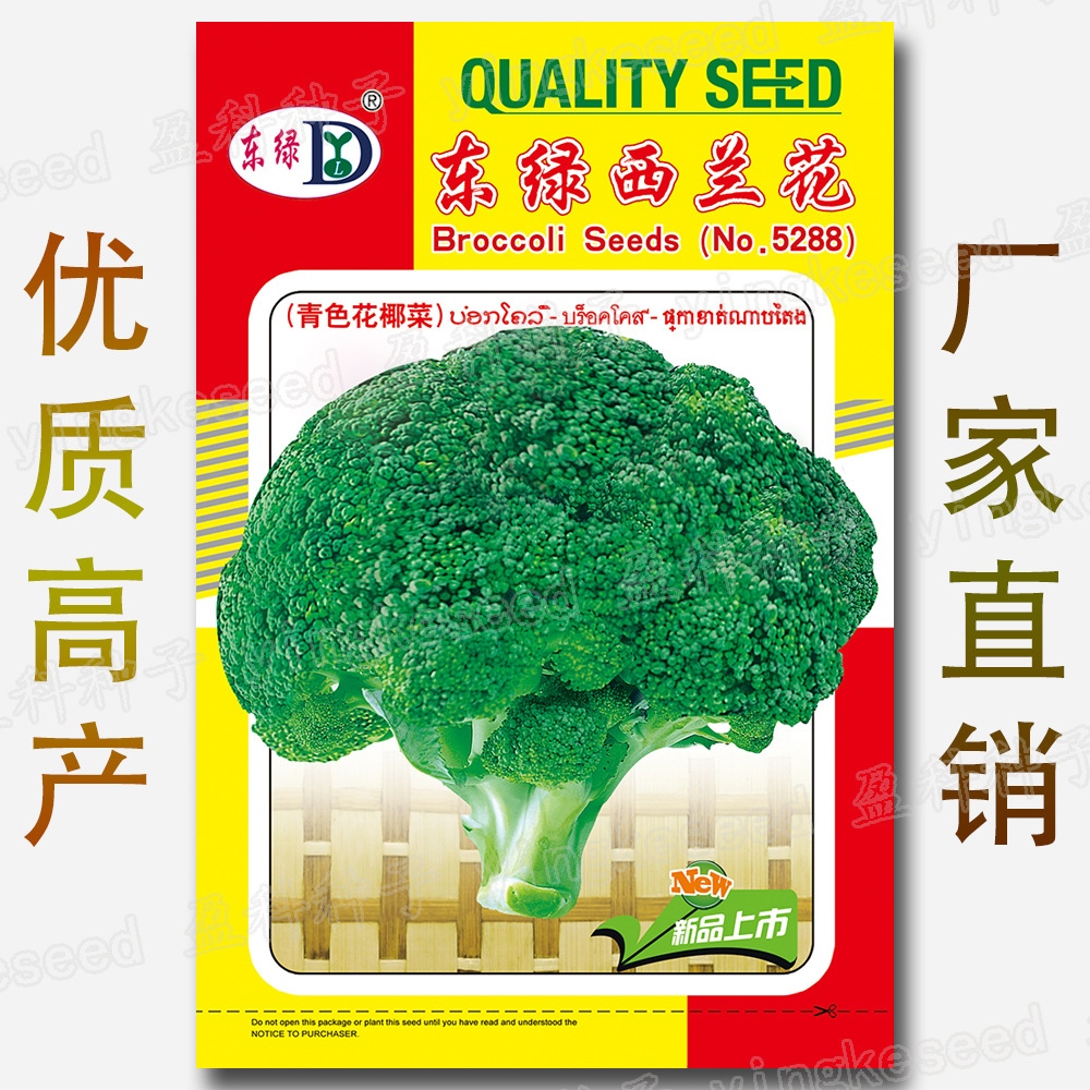 Picture of F1 Hybrid Broccoli Seeds for gardening 20+ seed