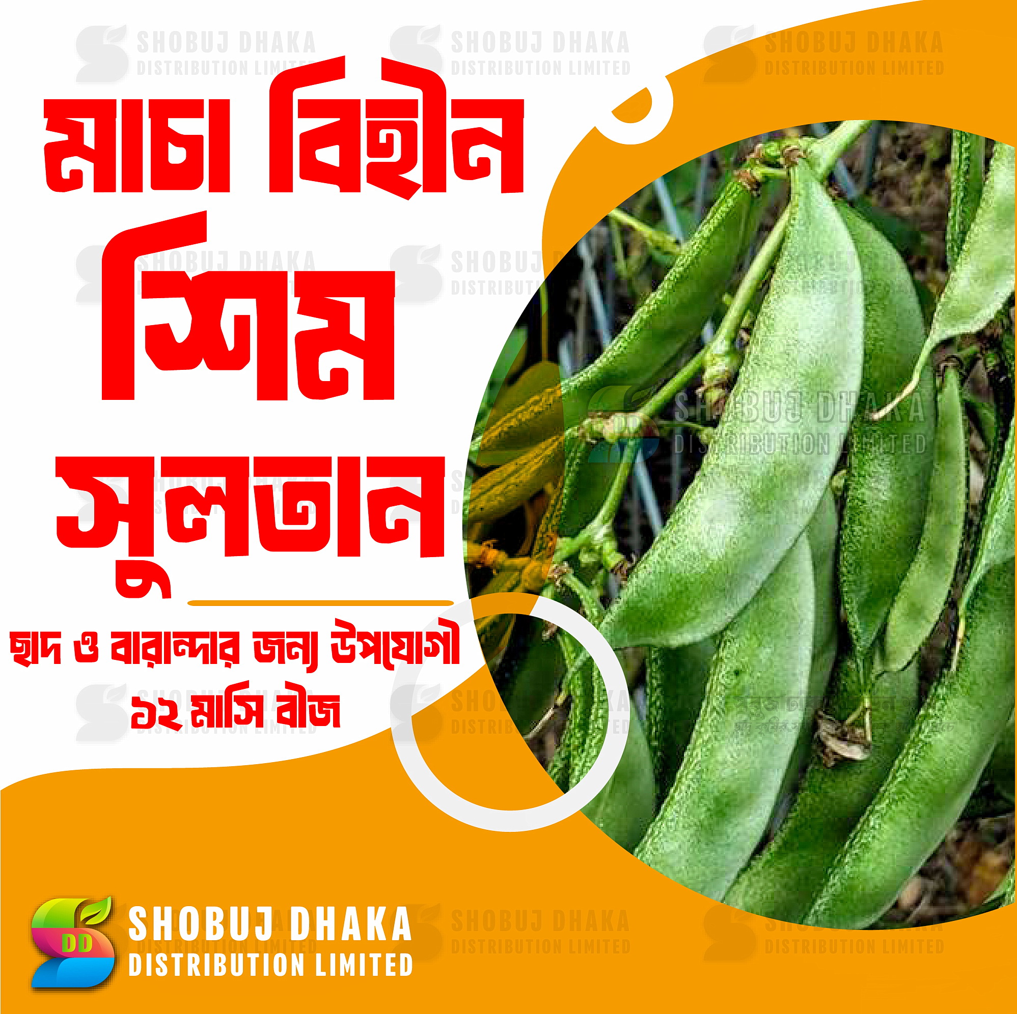 Picture of F1 Hybrid Sultan Shim Seeds 10gm Brand Pack (মাচা লাগে না)