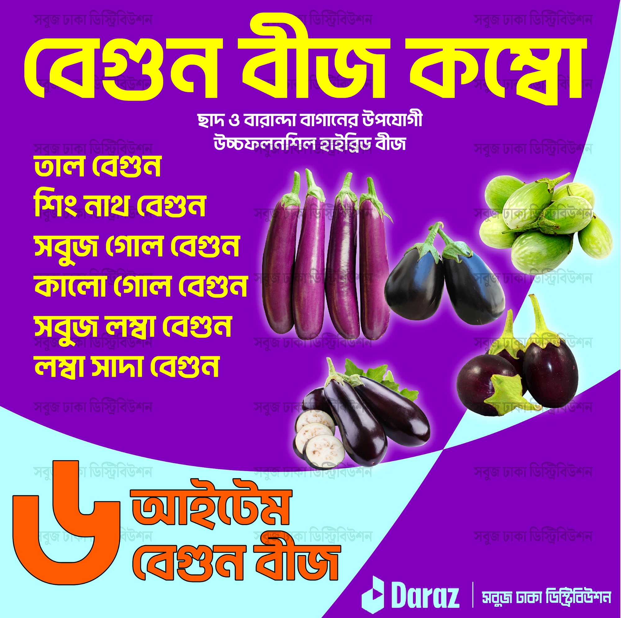 Picture of 【9.9 Deal】 Top Selling 6 Type Brinjal Seed Combo Pack - Total 100+ Seeds