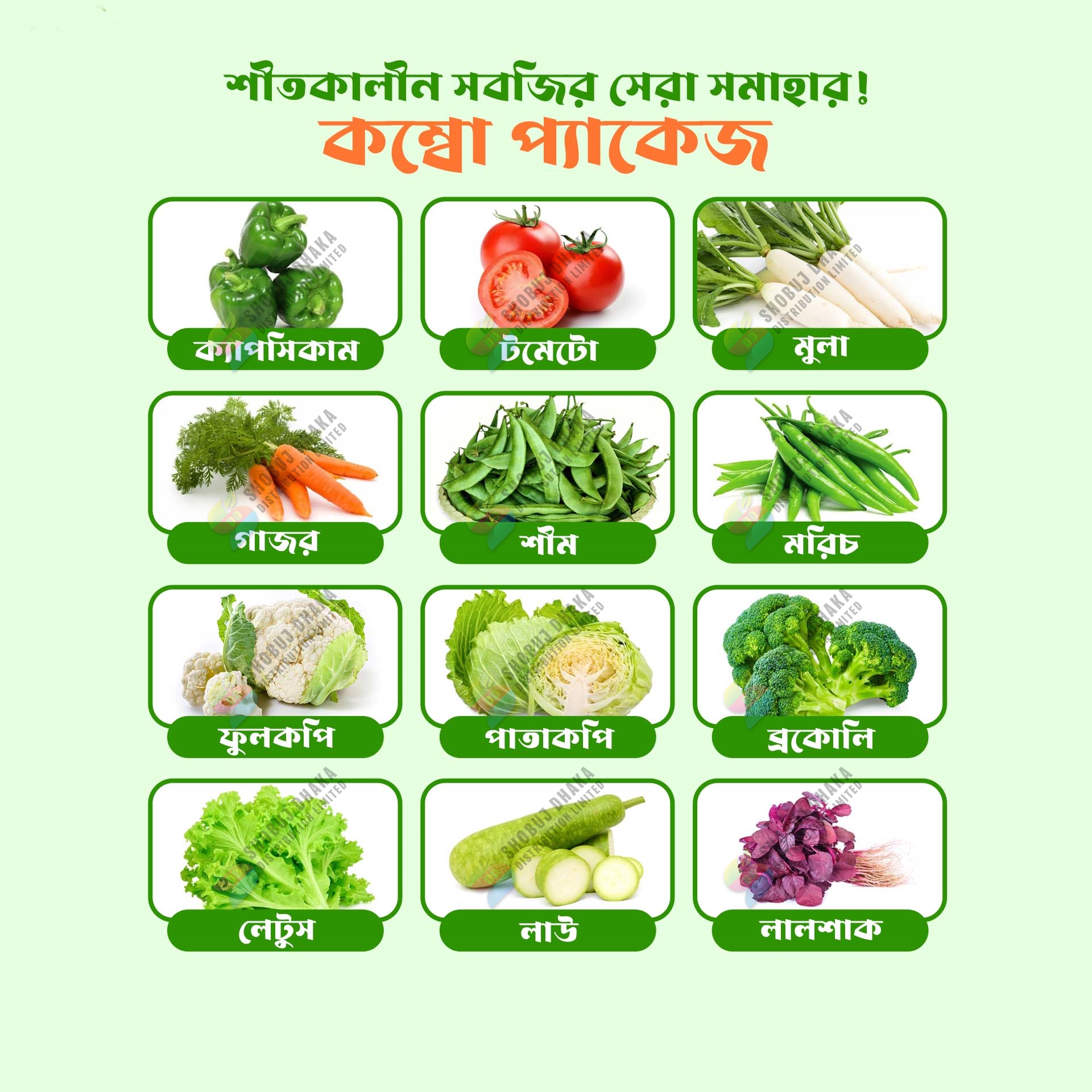 Picture of Top Selling WINTER COMBO SEEDS PACK 12 Item Re-Pack