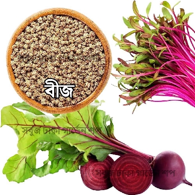 Picture of Beet Root Seeds Intact Pack F1 Hybrid (INDIAN) 10gm