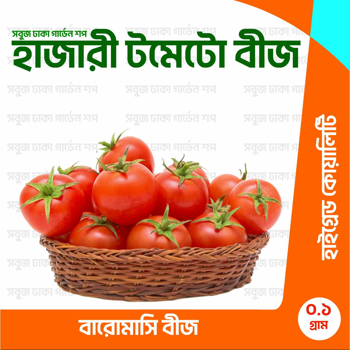 Picture of All Season Hybrid Tomato Beej 0.1gm