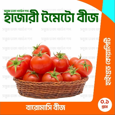 Picture of All Season Hybrid Tomato Beej 0.1gm
