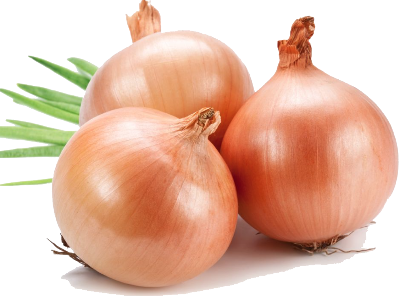 Picture of Taherpuri Onion Re-Pack ১গ্রাম Seeds