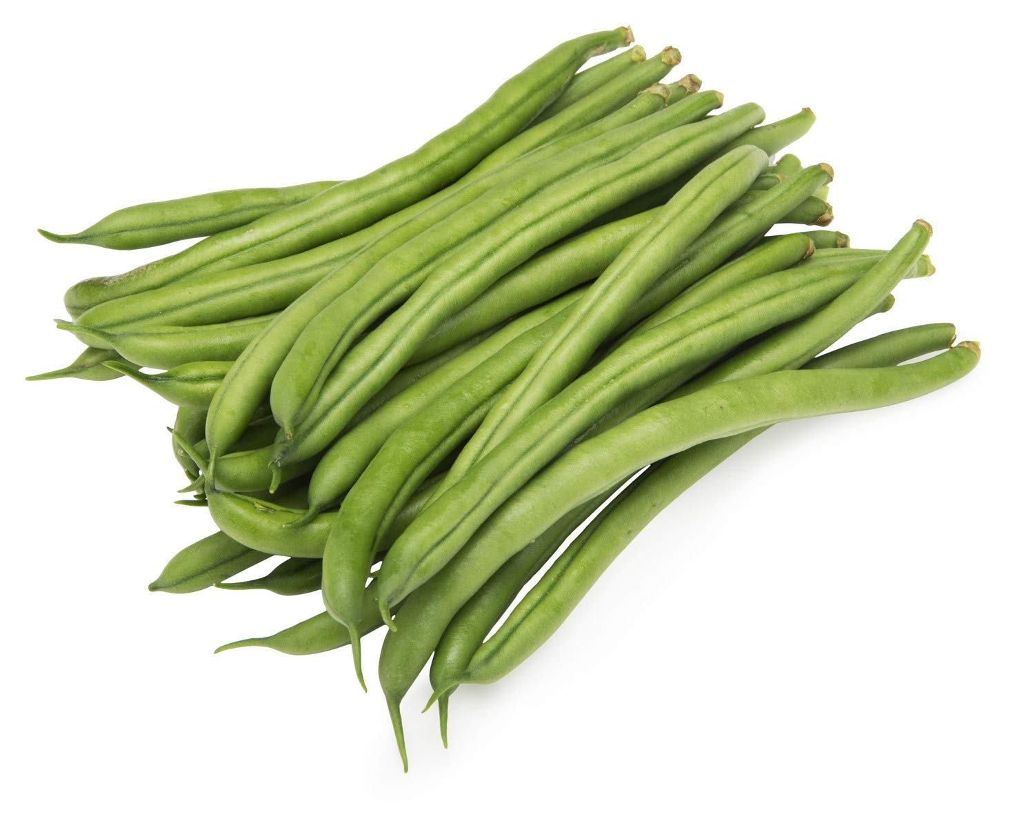Picture of Khato Jater Borboti  10pcs seeds Re-Pack