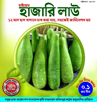 Picture of Hajari Lau 0.1gm seeds
