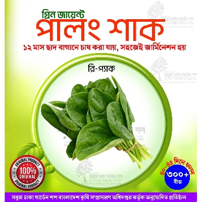 Picture of Green Giant Spinach 300+ Seeds Re-Pack (Imported)