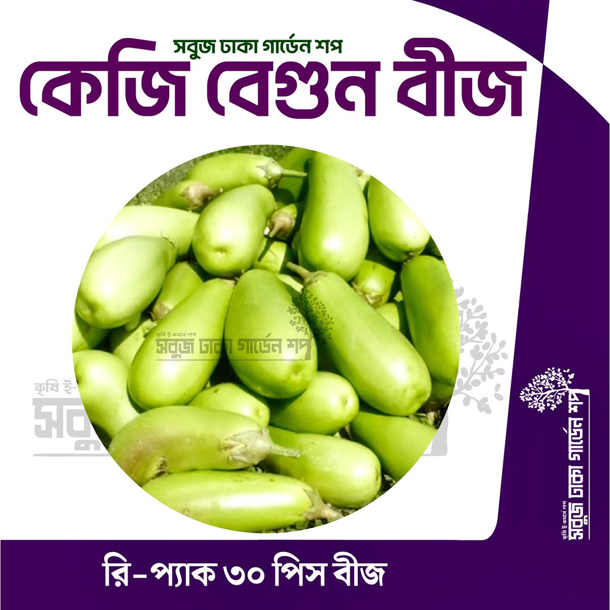 Picture of All Season keji Begun Seeds 30pcs Re-Pack