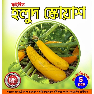 Picture of Hybrid Yellow Squash Seeds 5pcs Re-Pack (Korean)