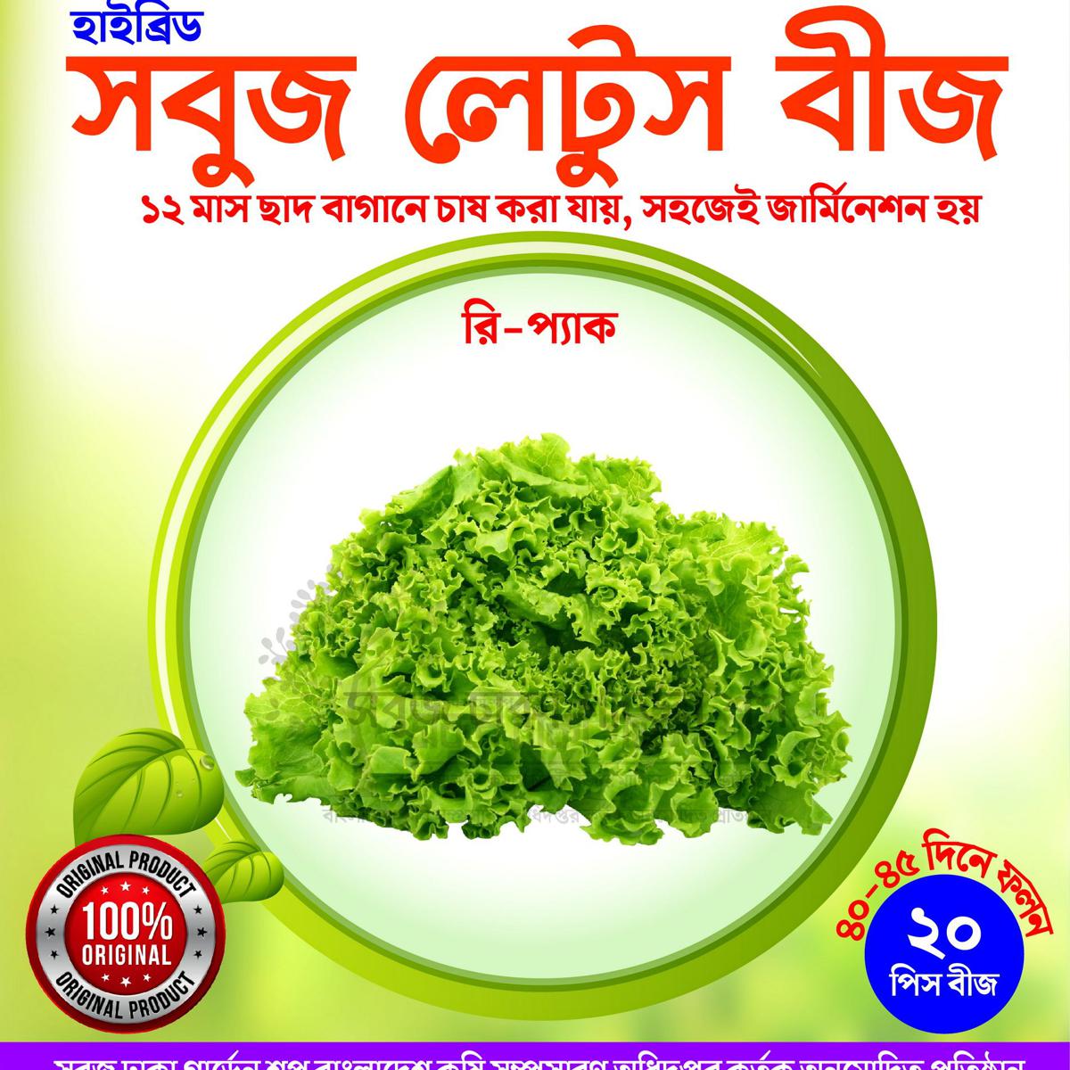 Picture of Green Lettuce Seeds 20pcs Re-Pack (China)