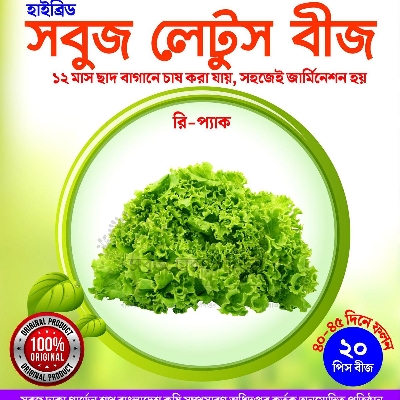 Picture of Green Lettuce Seeds 20pcs Re-Pack (China)