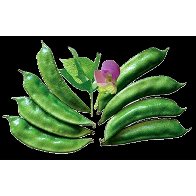 Picture of Epsa Shim All Season