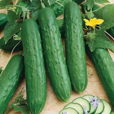 Picture of Supervit (Plants Micronutrients) 100gm
