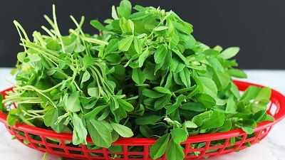 Picture of Original Supervit (Plants Micronutrients) 100gm PR