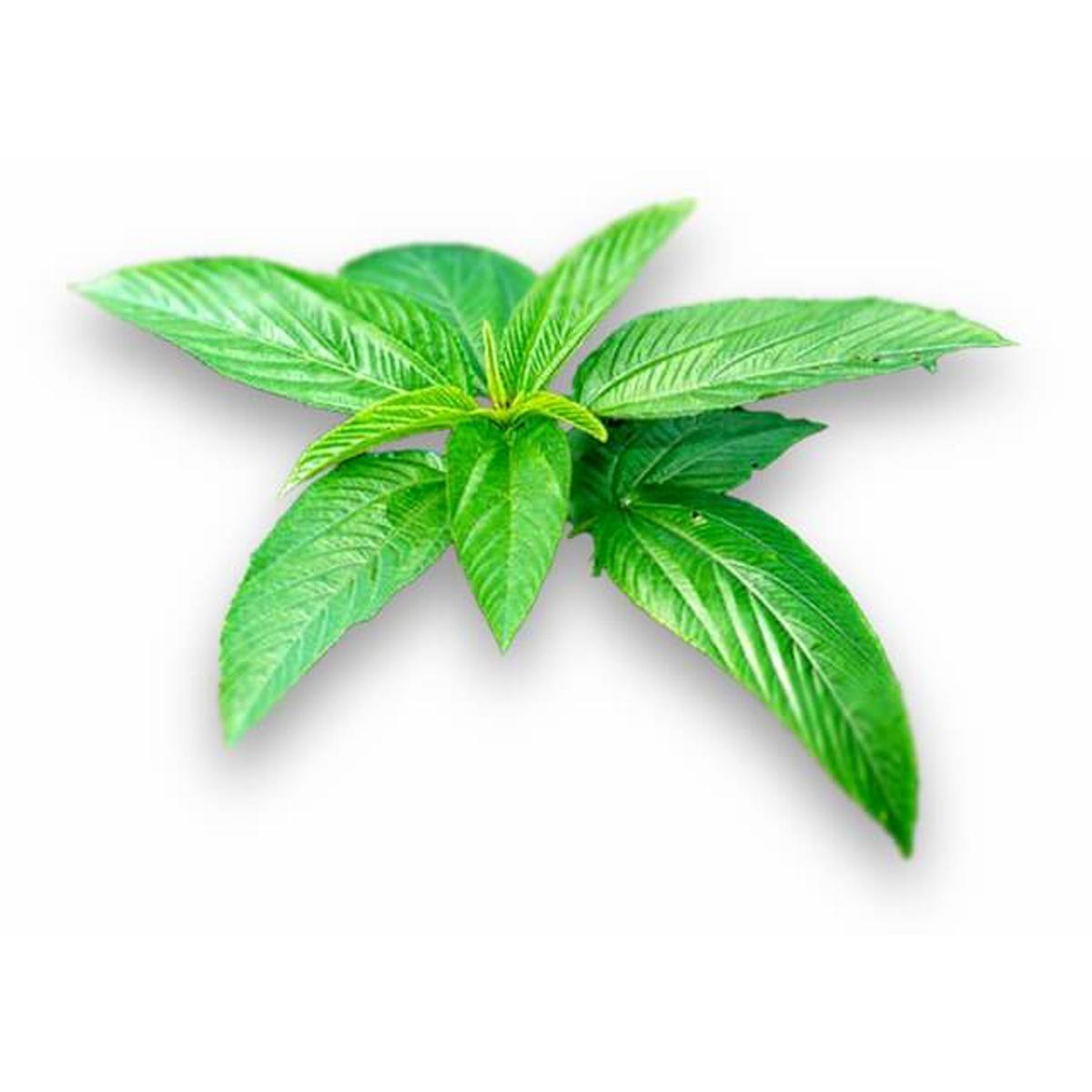 Picture of Paat Shak Sweet