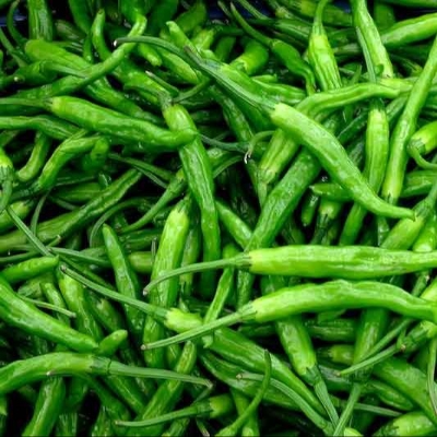 Picture of Super Spicy Chili seeds ১০ পিস re-pack