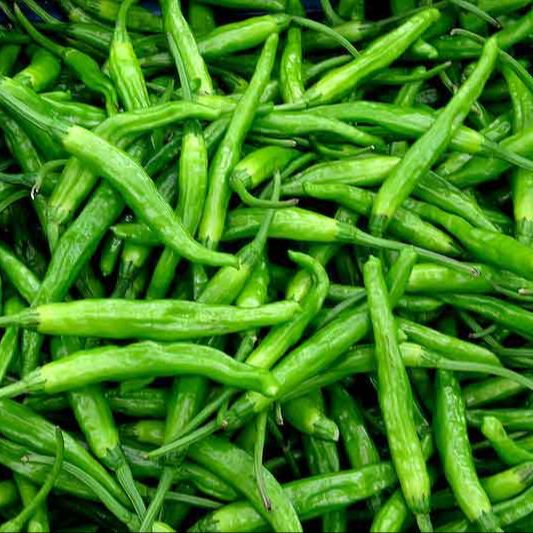 Picture of Super Spicy Chili seeds ১০ পিস re-pack
