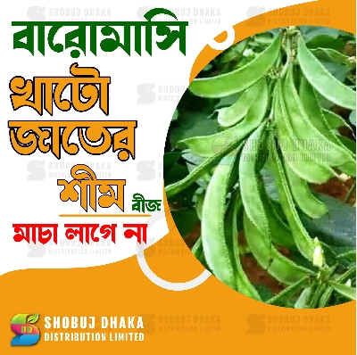 Picture of Khato Jater Shim 5 pcs Seeds Hybrid