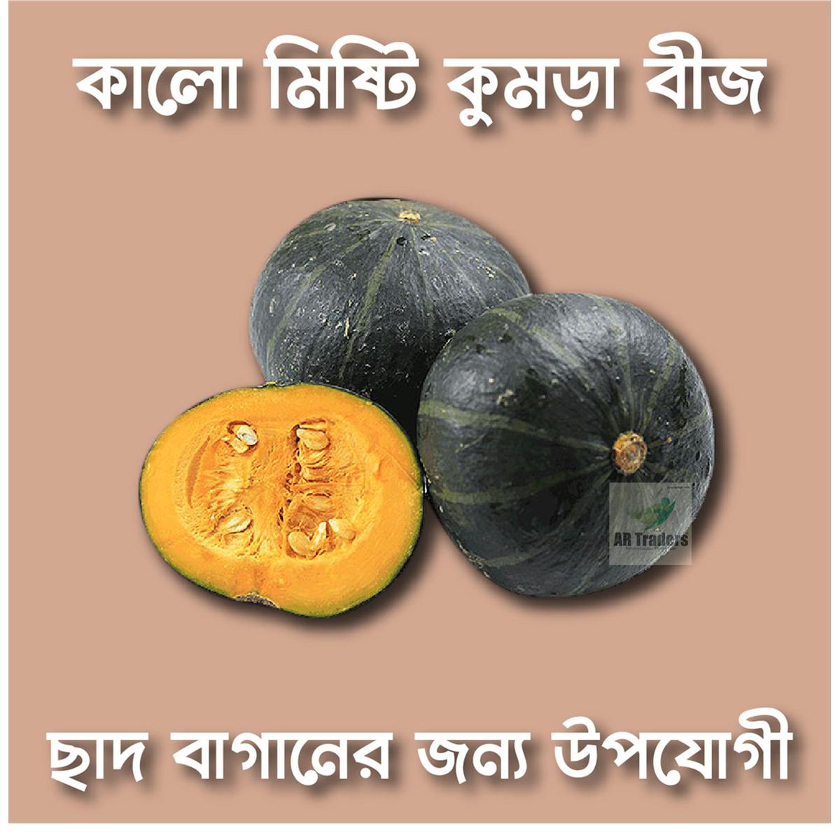Picture of Black Pumkin