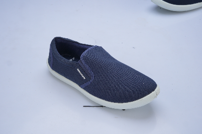 Picture of Women Ballet Flats Blue
