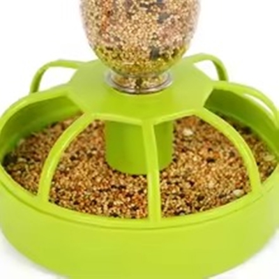 Automatic Bird Feeding Box