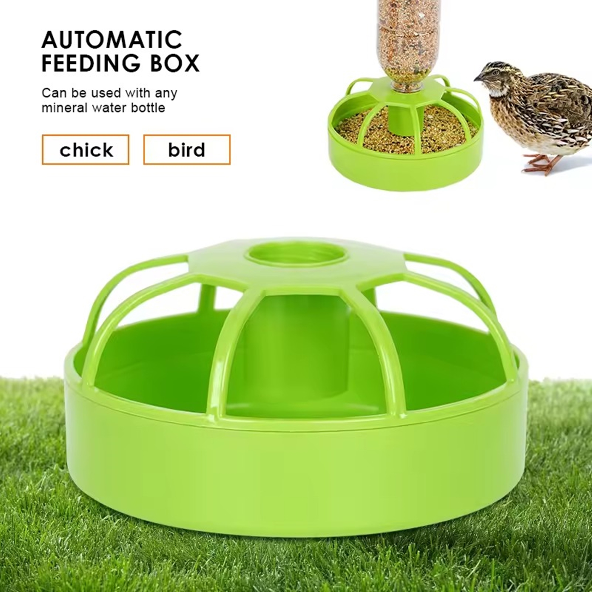 Automatic Bird Feeding Box