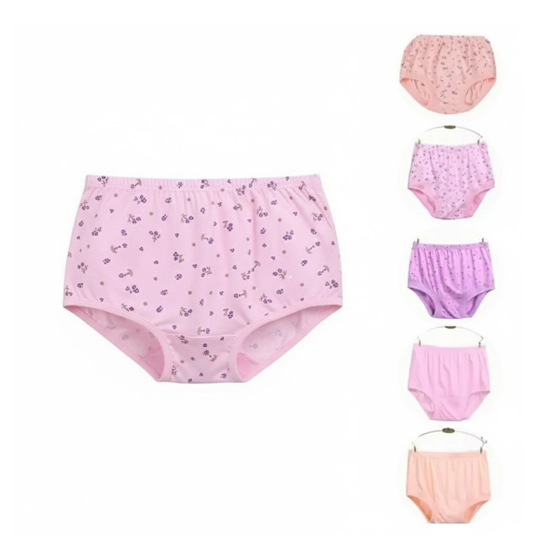 Picture of 6 Pieces/Set Comfortable Cotton Panty for Women & Girls