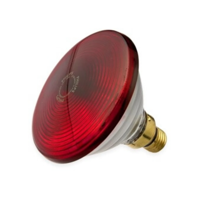 Picture of Philips Infrared Lamp BULB-150W