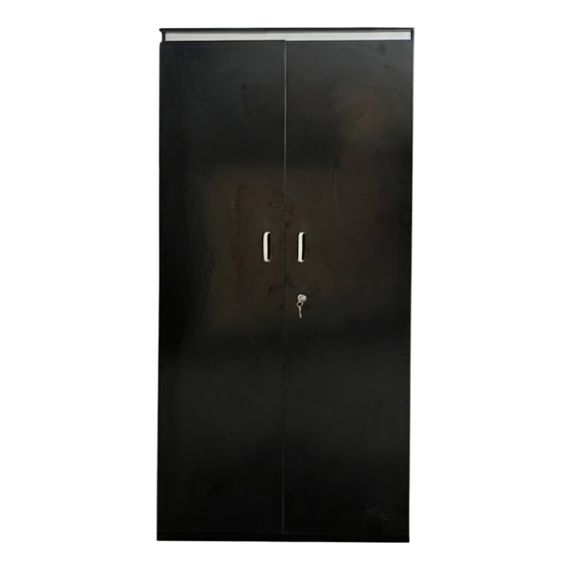 Picture of Newfangled - 2 Door Almira with Inner Drawer and Cloth Storage Unit - Best Quality Furniture - Furniture & Decor - Modern and Trendy