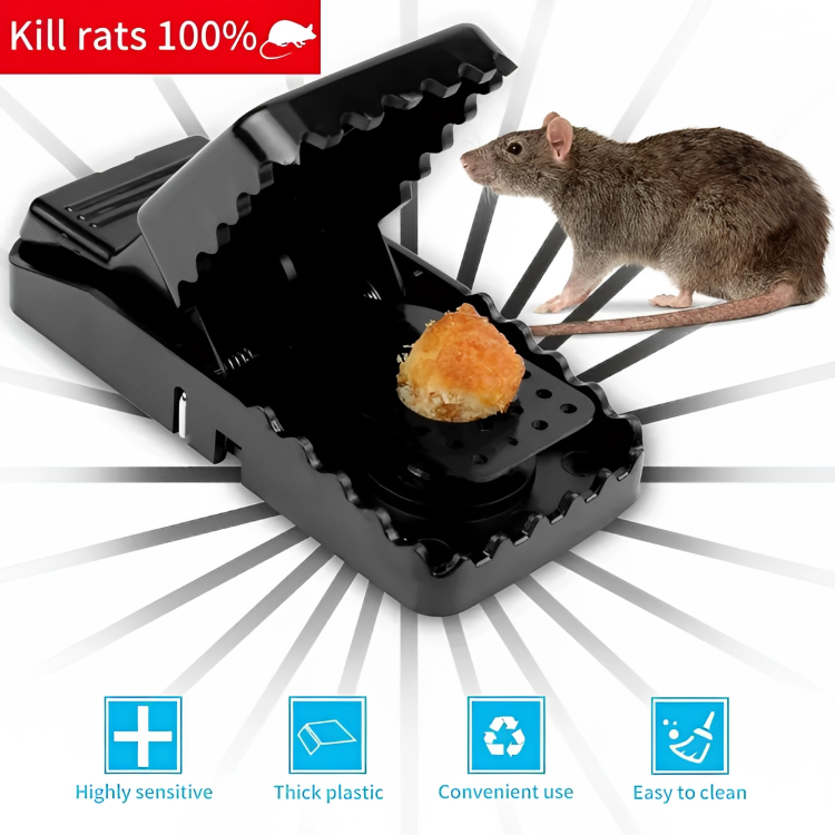 Picture of Mouse Killer Trap