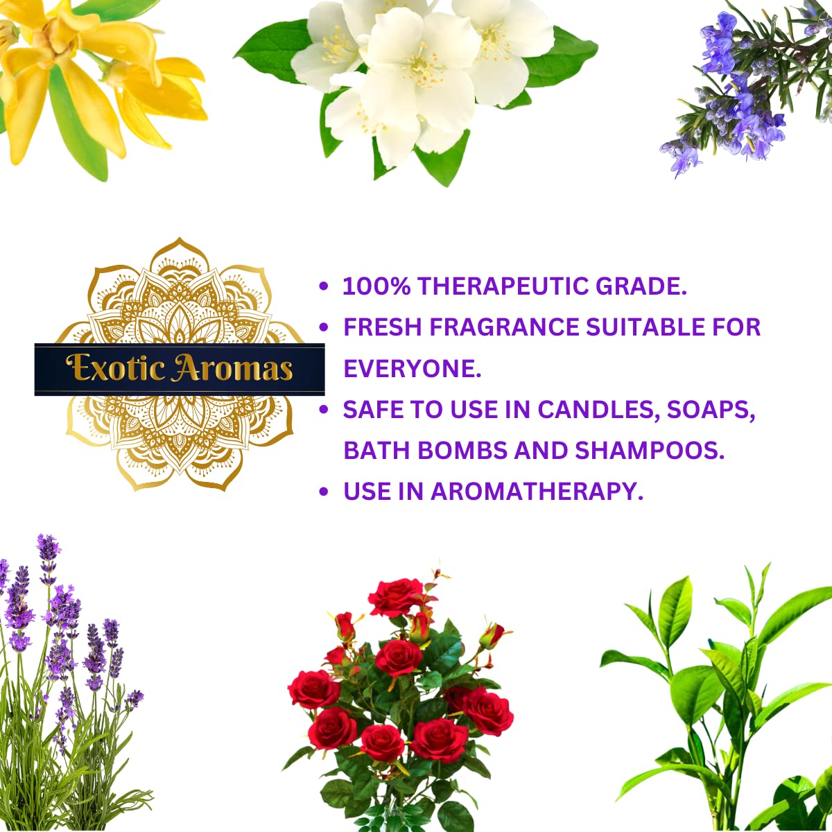 Picture of Exotic Aromas Essential Oil - Lavender/ Lemongrass/ Jasmine /Orange (Mandarin), Rose oil (Pack of 5)