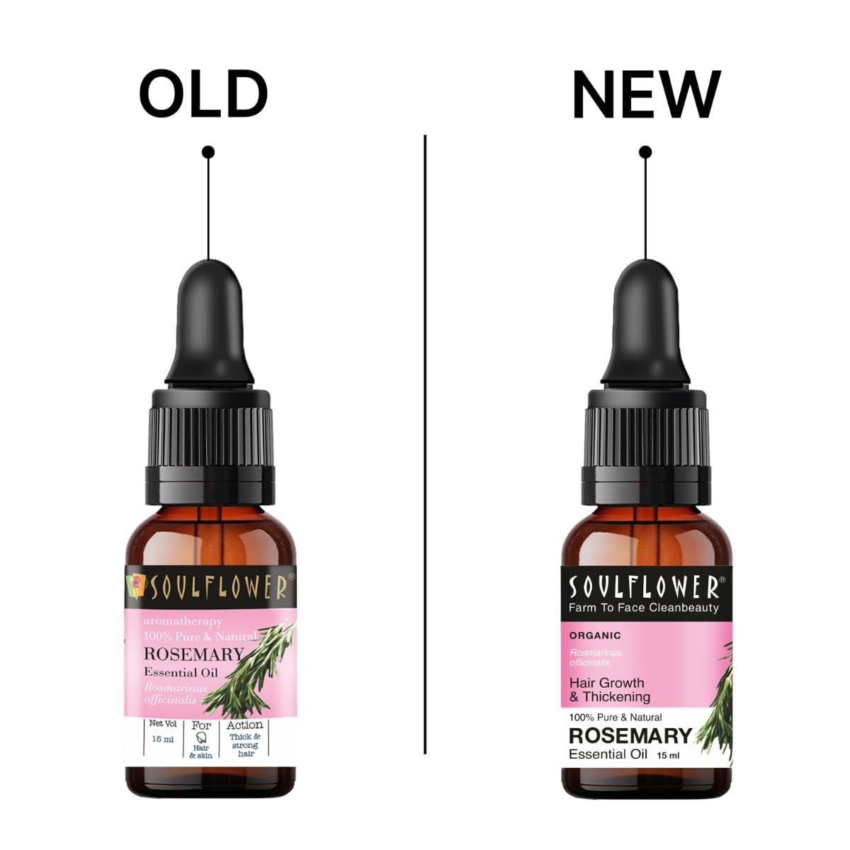 Picture of Soulflower Rosemary Essential Oil for Hair Growth, Hair Fall Control and Nourishment, Skin Care | Clinically Tested & Ecocert Certified Organic 100% Pure, Natural, Undiluted | 15ml