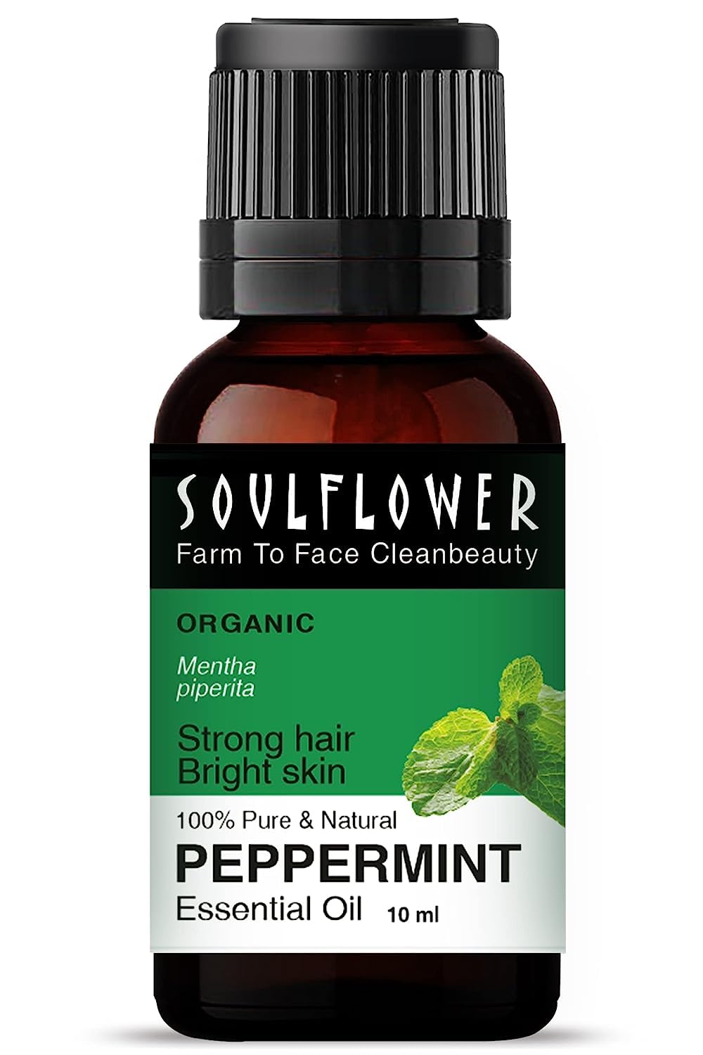 Picture of Soulflower Peppermint Essential Oil for Skin & Hair Growth, Hair Fall Control, Scalp |100% Pure & Natural Therapeutic Grade, Undiluted, Ecocert Cosmos Organic Certified, Mentha Piperita |10ml