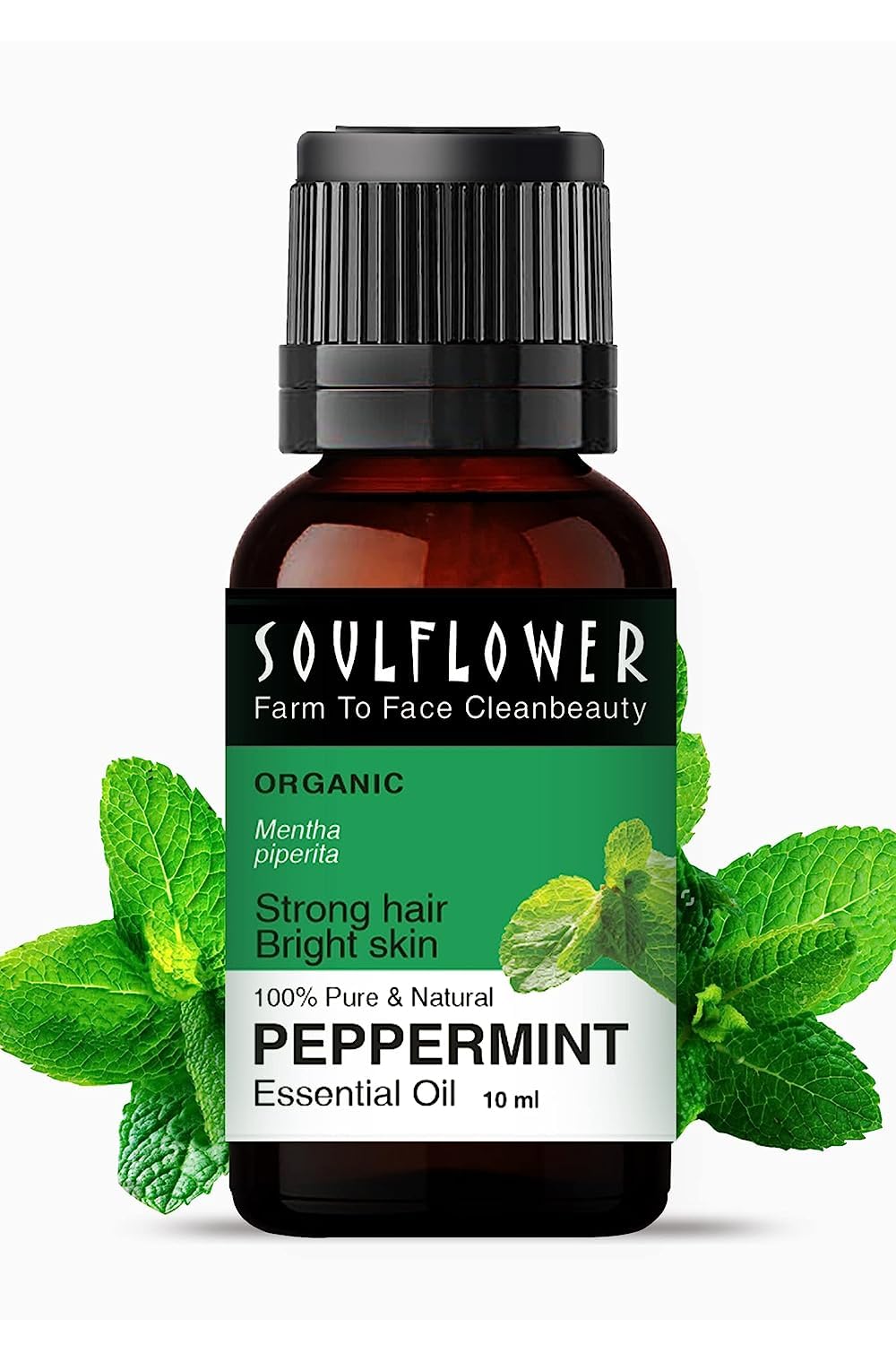 Picture of Soulflower Peppermint Essential Oil for Skin & Hair Growth, Hair Fall Control, Scalp |100% Pure & Natural Therapeutic Grade, Undiluted, Ecocert Cosmos Organic Certified, Mentha Piperita |10ml