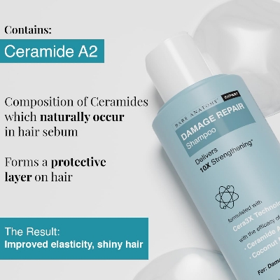 Picture of Bare Anatomy Damage Repair Hair Shampoo | Provides 10x Strengthening Powered By Ceramide A2 & Coconut Milk Protein | For Damaged, Dry & Frizzy Hair | Sulphate & Paraben Free | For Women & Men | 250ml