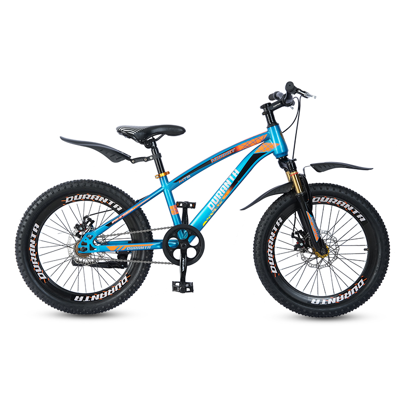 Buy  Duranta Steel 1-Speed 20 inch Hornet Bicycle Blue  at Best Price In Bangladesh