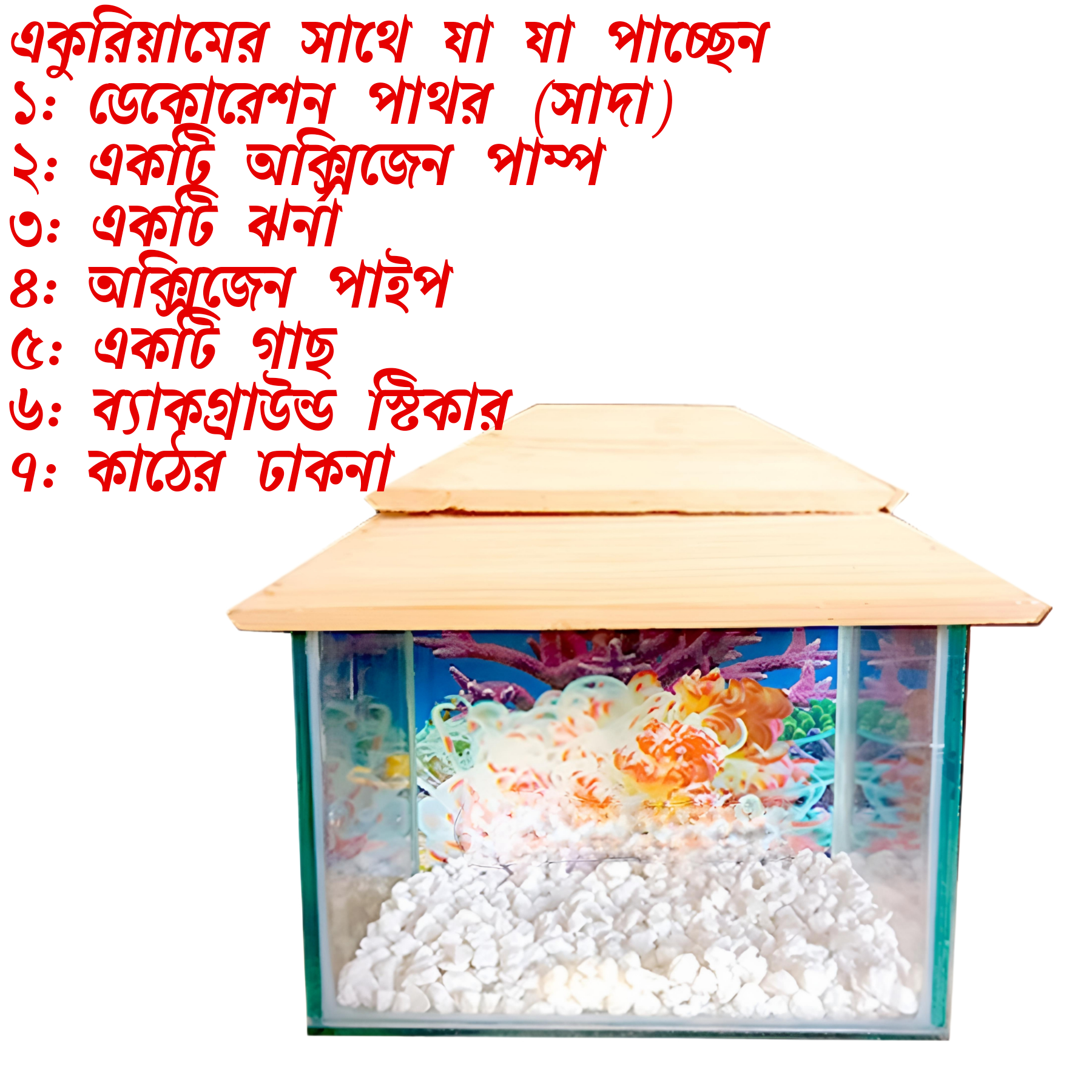 Picture of Glass Made Deshi Aquarium For Fish With All Accessories You Don't Have To Buy Anything (Small Size 9x6x6 Inches)