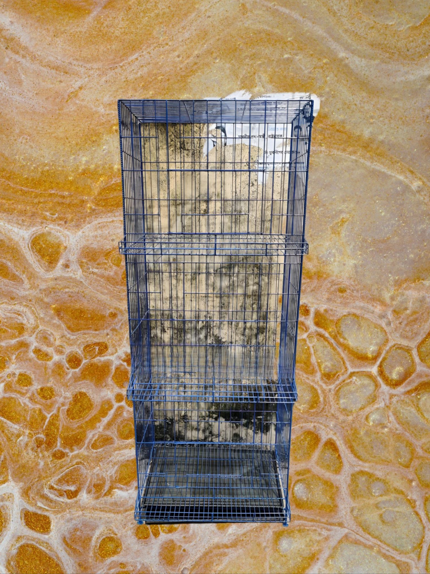 Picture of Murgir Cage Coop Cage Chicky Cage With Tray for 30 Murgi Can Easily Stay Together Cage Size 36"/18" ir 24/18 Inc  Cash on delivery available