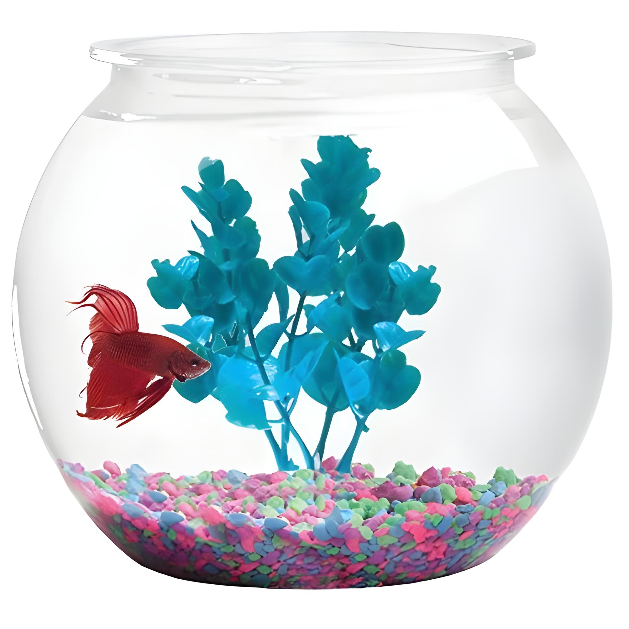 Picture of Glass Fish Bowl With Colorful Stones & Tree Aquarium, Fishbowl, Cat Fishbow, Cat Fishbow, Round Fish Bowl, Glass Fish Bowl, Clear Acrylic, Explosion-proof Fish Bowl, House Plant Container, Polycarbonate Pot, Underwater, Large Made in Bangladesh
