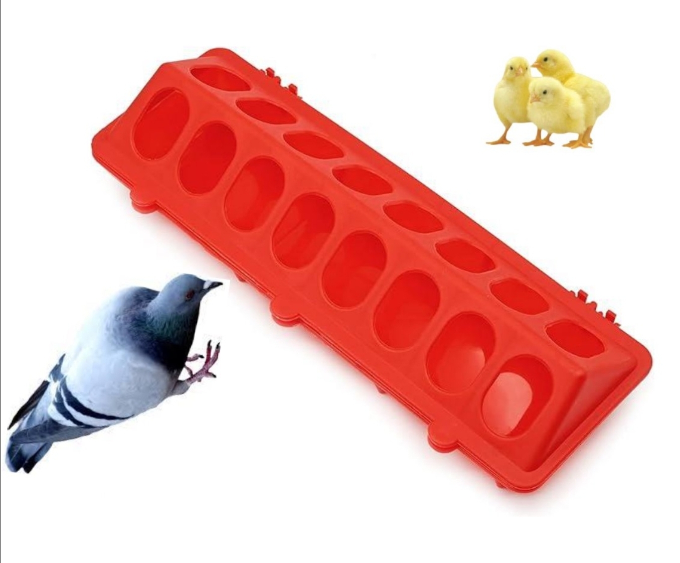 Picture of Pigeon Hanging Food Box Small Bird Cup Household Quail Feeder Bird Accessories Bird Food Trough Chicken Drinker Cups Pigeon Feeding Supplies Pigeon Supplies Plastic Multifunction