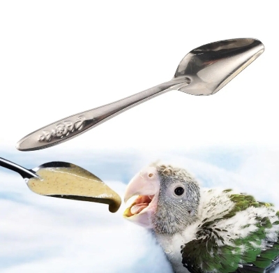 Picture of 1pcs Feeding Spoon Bird Parrot Feeding Spoon Stainless Steel Water Milk Powder Feeder Spoons Bird accessories