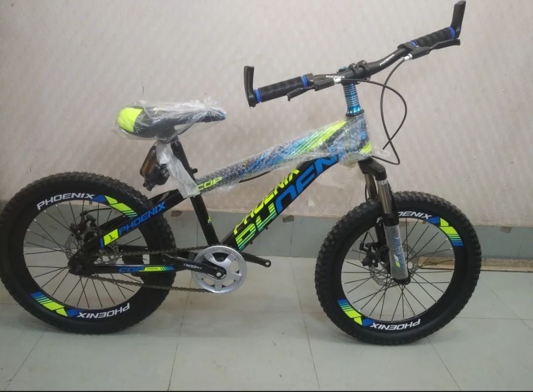 Picture of 20'' phoenix Disc brake cycle