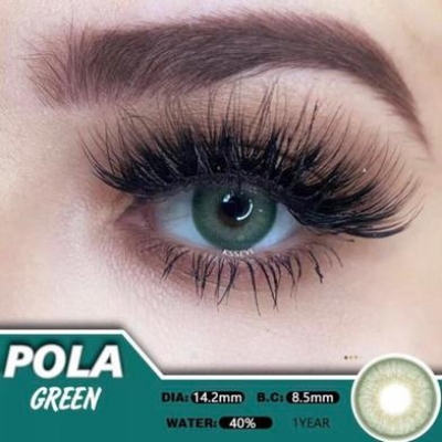 Picture of KSSEYE Pola Green Contact Lens with kit box(Lens case) K3 Picture of KSSEYE Pola Green Contact Lens with kit box(Lens case) K3