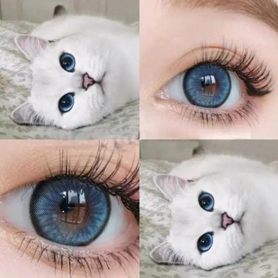 Picture of Ksseye Diamond /Norko Blue Contact Lens - with kit box(Lens case) K103 Picture of Ksseye Diamond /Norko Blue Contact Lens - with kit box(Lens case) K103