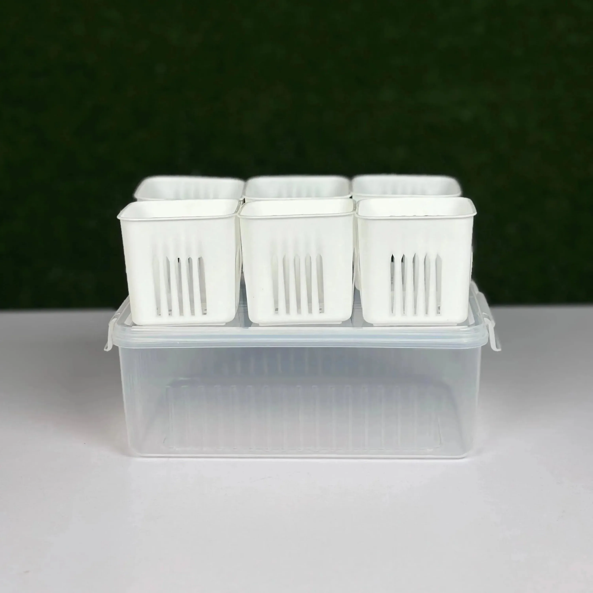 Picture of 6 grid fridge storage box Picture of 6 grid fridge storage box