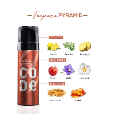 Picture of 120 ml Wild Stone code Copper Body Spray Indian product used for male