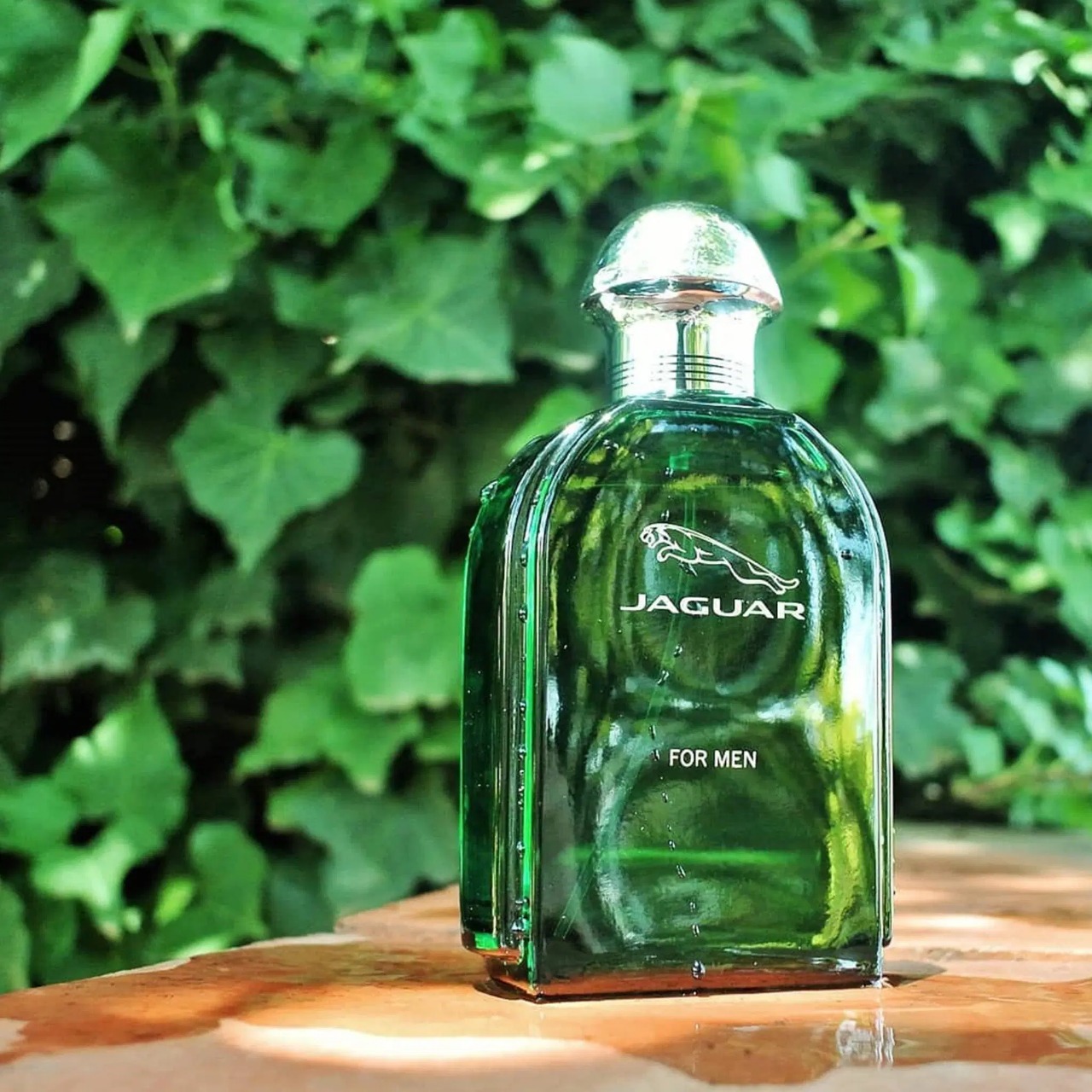 Picture of International France product Body perfume party scent Jaguar Classic Green used for male - 100 ml