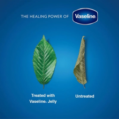 Picture of 250 ml Vaseline Blueseal cocoa butter rich conditioning jelly International south African product used for male / female